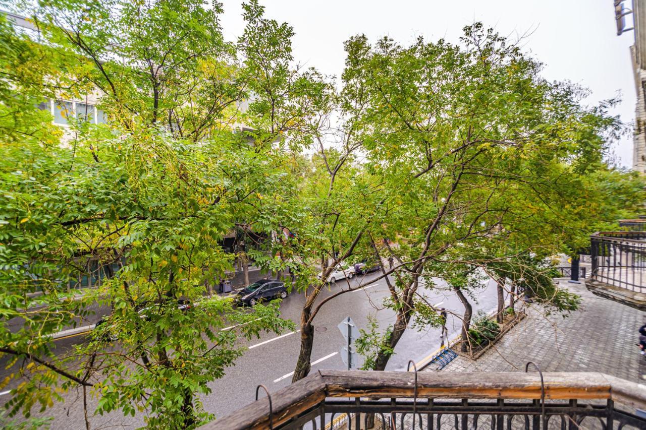 Vip Apartamen Nizami Street Apartment Baku Ngoại thất bức ảnh